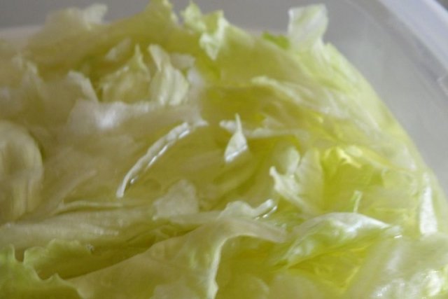 Foto de la receta de ensalada de lechuga Receta de ensalada de lechuga