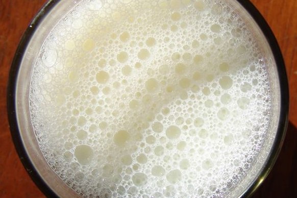 Foto de la receta de leche de avena Receta de leche de avena