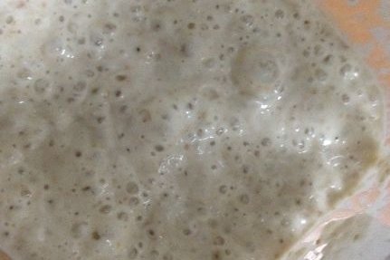 Foto de la receta de masa madre Receta de masa madre