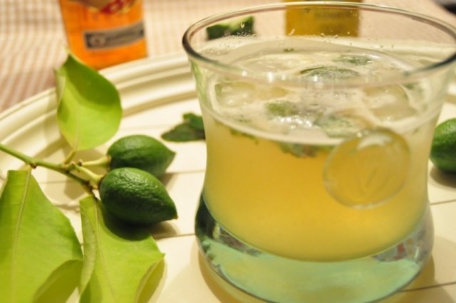 Foto de la receta de mojito Receta de mojito