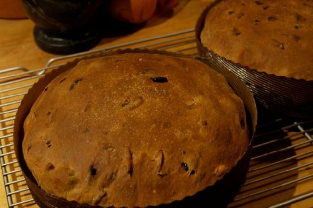 Foto de la receta de panettone en la thermomix Receta de panettone en la thermomix