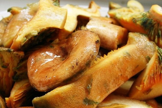 Foto de la receta de patatas guisadas con níscalos Receta de patatas guisadas con níscalos