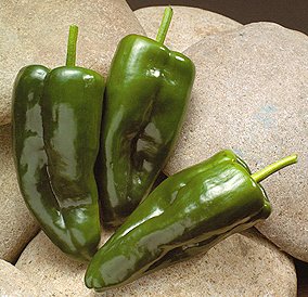 Foto de la receta de rajas poblanas Receta de rajas poblanas