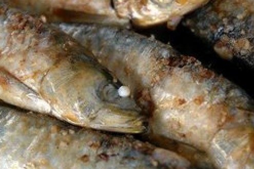 Foto de la receta de sardinas al horno Receta de sardinas al horno