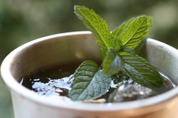 Foto de la receta de té a la menta Receta de té a la menta