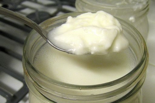 Foto de la receta de yogur Receta de yogur
