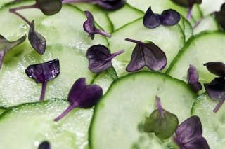 Receta de carpaccio de pepino