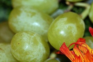 Receta de compota de uvas