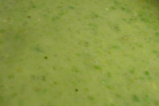 Receta de crema de lechuga y guisantes