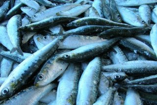 Receta de sardina rellena