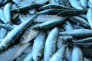 Receta de sardinas rellenas