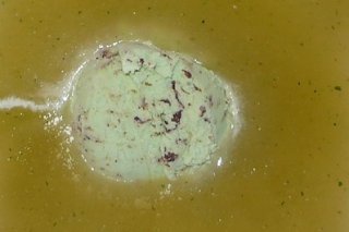 Receta de sopa fría de melón con hierbabuena y helado de menta