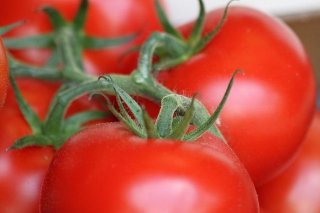 Receta de tomates rellenos sencillos
