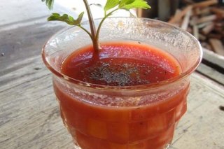 Receta de zumo de tomate