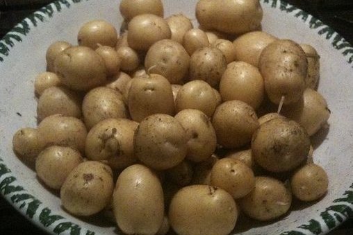 Cocer la patata con piel sin que se rompa