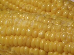 Cómo conservar el maíz