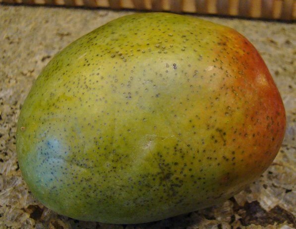 Cómo madurar mangos