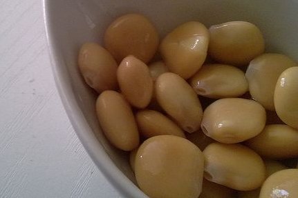 Propiedades de los altramuces